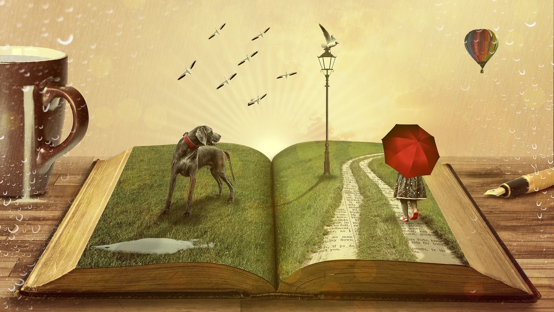 dessin livres évasion