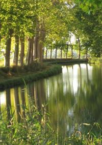 photo d'une vue du canal du midi